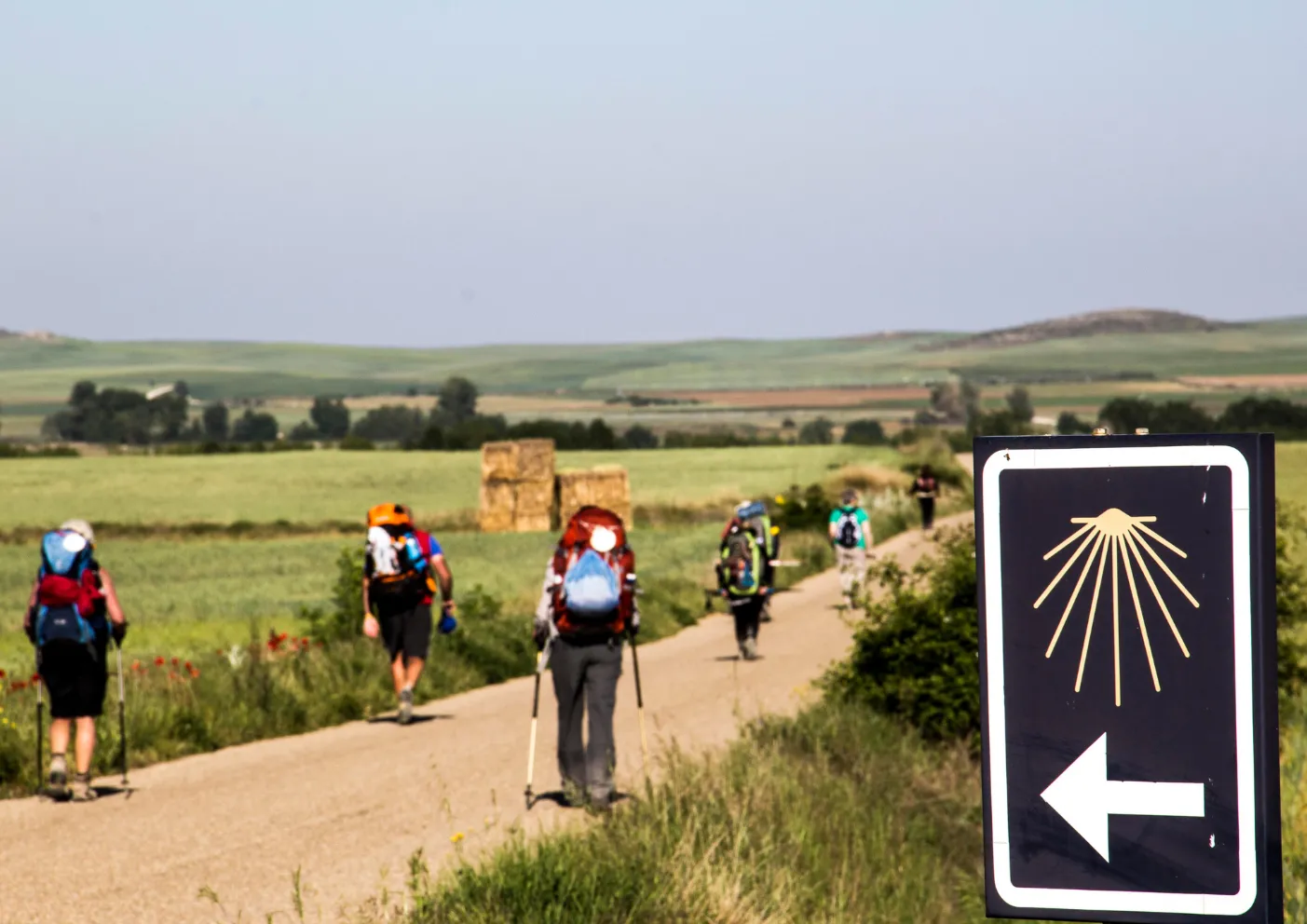 Kako hodanje od 8 kilograma i 800 kilometara mijenja um