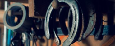 igra_bacanja_potkove_kako_igrati_bacanja_potkove