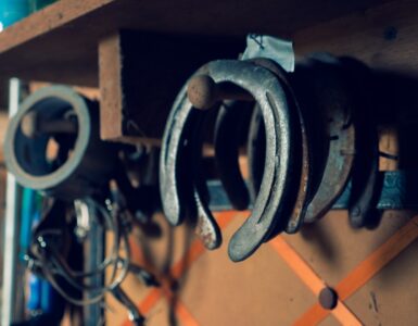 igra_bacanja_potkove_kako_igrati_bacanja_potkove