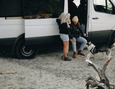 kako-putovati-s-kucnim-ljubimcima-putovanje-s-kucnim-ljubimcima